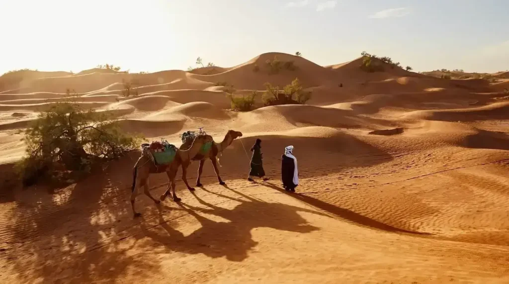 dubai desert places